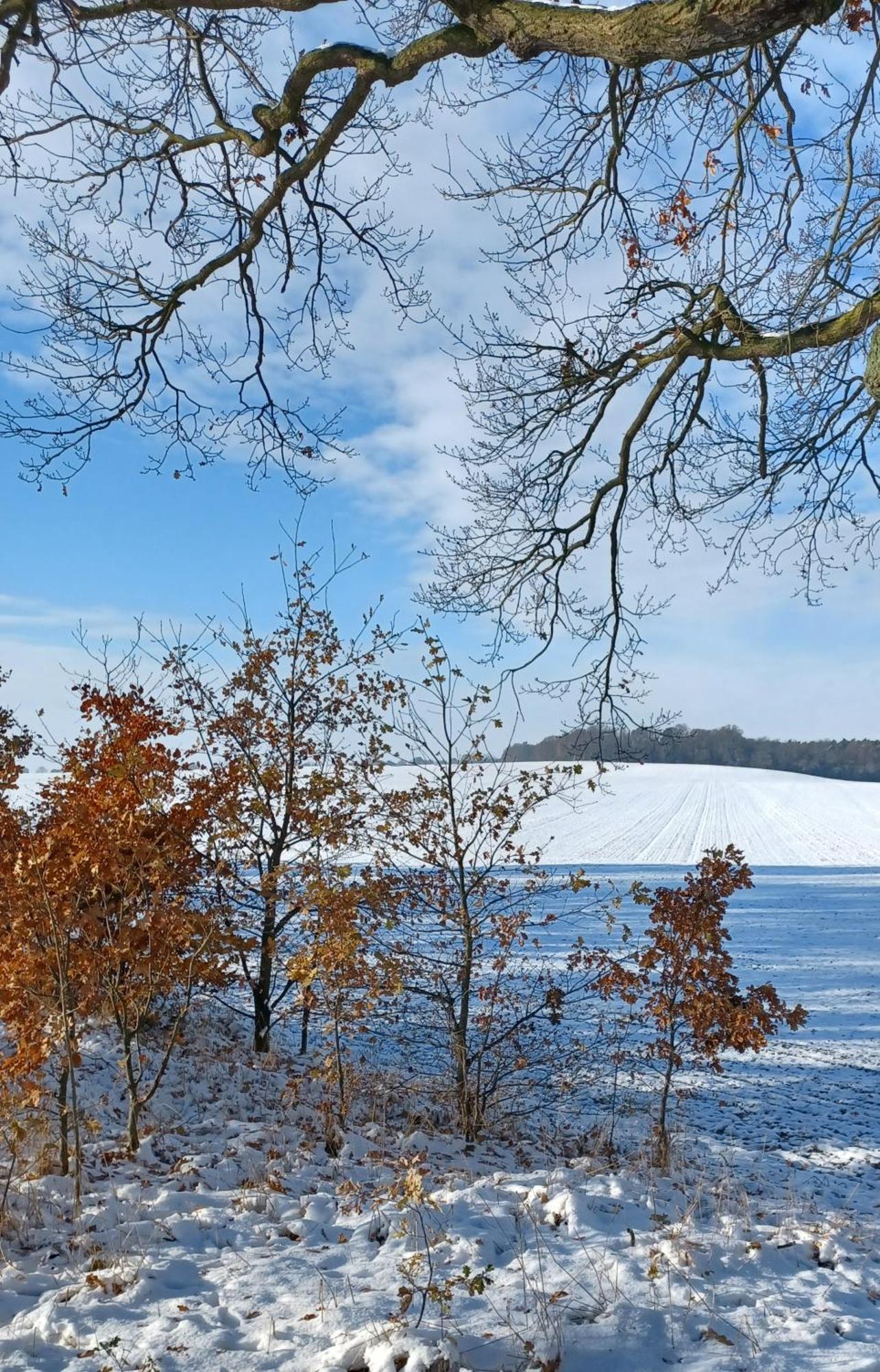 Hébergement de vacances Waldblick *